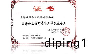 上海市專(zhuan)利(li)工作試點企業
